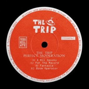 The Trip - Perfect Moderation