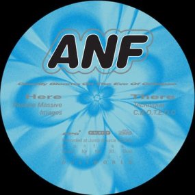 ANF - Costly Blooms On The Eve Of Collapse [予約商品]