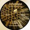 Echologist - Snowblower EP