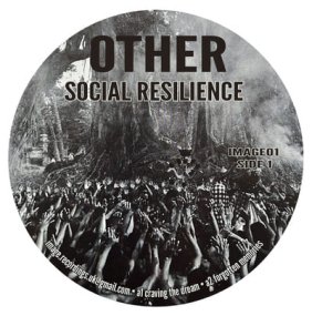 Other - Social Resilienceξʼ̿