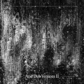 [試聴盤] Om Unit - Acid Dub Versions II