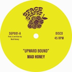 Mad Honey - Upward Bound / Treasure Every Sunset