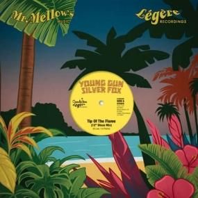 Young Gun Silver Fox - Canyons - Lighthouse Records Webstore