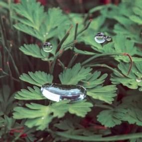 Risco Connection - Risco Version - Lighthouse Records Webstore