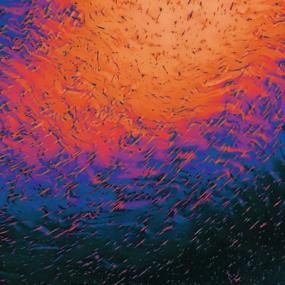 Nadia Struiwigh - Birds Of Paradise - Lighthouse Records Webstore