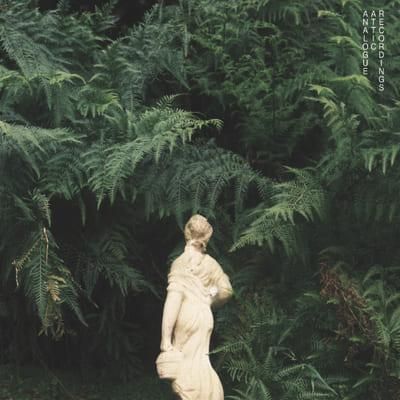 期間限定 数量限定 Allamble - Albrecht Alex - Webstore Records Lighthouse その他