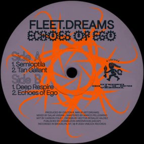 fleet.dreams - Echoes of Ego
