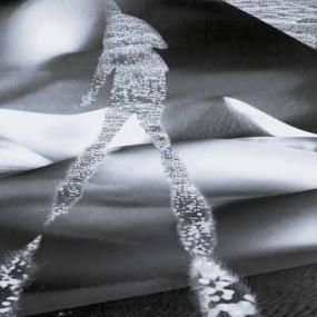 Nadia Struiwigh - Birds Of Paradise - Lighthouse Records Webstore