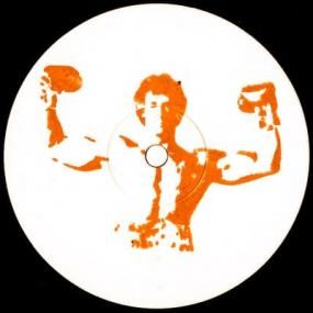 細野晴臣　omni sight seeing LPレコード Amazon.co.jp: omni Sight Seeing: ミュージック