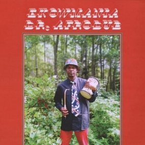 Ekowmania - Dr. Afrodub