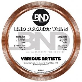 Various Artists - BND Project Volume 5