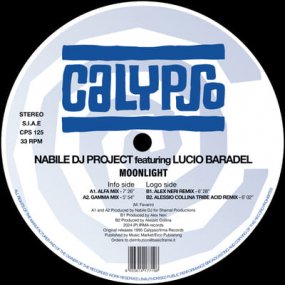 Nabile DJ Project feat. Lucio Baradel - Moonlight