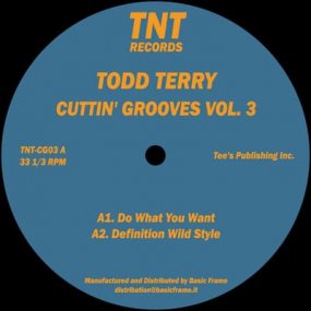 Todd Terry - Cuttin' Grooves Vol. 3