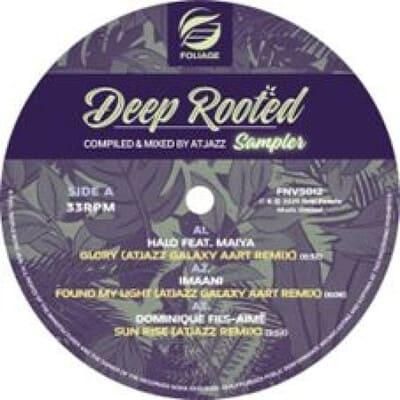 V.A. - Deep Rooted (Compiled & Mixed by Atjazz) Vinyl Sampler