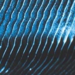 Techno/Electro - Lighthouse Records Webstore