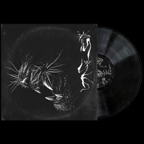 Xin Lie - Xin Lie