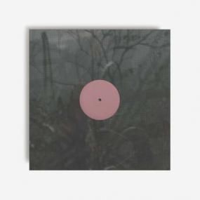 Alien D - For the Early Hours of a World in Bloom