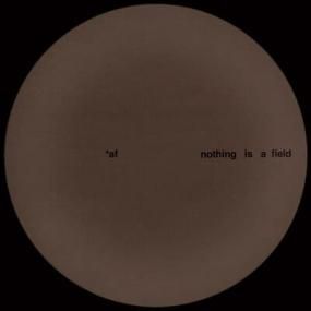 Adam Feingold - Nothing Is A Field