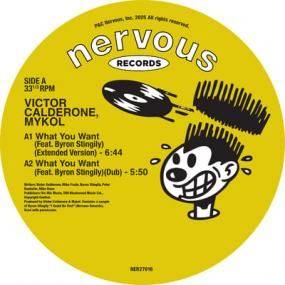 Victor Calderone & Mykol - What You Want (feat. Byron Stingily)
