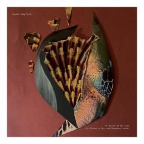 James Hayford & BiggaBush - Split EP