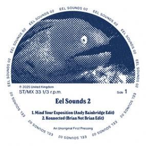 V.A. - EEL Sounds 02