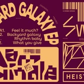Dam Swindle - Backyard galaxy EP