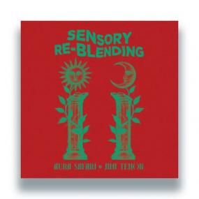 Aura Safari & Jimi Tenor - Sensory ReBlending