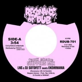 LNS & DJ Sotofett meets Ekowmania - Fanti Shake (Steppers Mix) / Step Eight