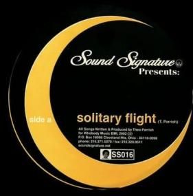 Theo Parrish - Solitary Flight