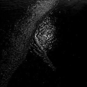 Gigi Masin  - Implodendo In Usa Accecante Oscurita Pt. 2