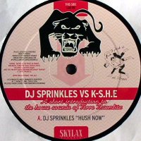 DJ Sprinkles vs K-S.H.E. - Hush Now / B2Bβ