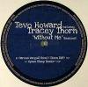 Tevo Howard feat Tracey Thorn - Without Me Remixes