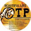 Terrence Parker - Beautiful Life
