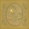 bimidori - Um Norte Arboriza