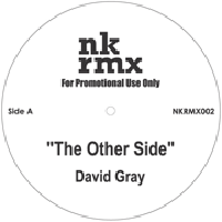 David Gray / Tracy Chapman - The Other Side / Crossroads (NK Rmx