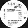Tenderness - Gotta Keep On Trying (inc. DJ Harvey Edit)