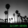 DJ Cam - Sevenξʼ̿