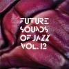 V.A. - Future Sounds Of Jazz Vol. 12