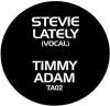 Stevie - Lately (Timmy Regisford & Adam Rios Remix)