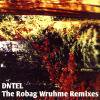 Dntel - The Robag Wruhme Remixes