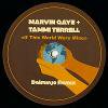 Marvin Gaye & Tammi Terrell - If This World Were Mine (Dalminjo Remix)
