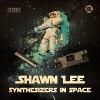 Shawn Lee - Synthesizers in Space