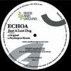 Echoa - Just A Lost Dog
