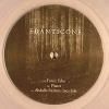 Edanticonf - Forest Echo