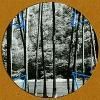 Four Tet - Lion / Peace For Earth