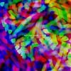Nathan Fake - Paean