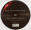 DJ Sprinkles - Vinyl Sampler Pt. 2