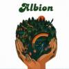 Albion - Free Fantasy Formation