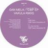 Dan Mela - The Day Of The Black Panther (incl. Vakula Remixes)