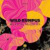Wild Rumpus - Musical Blaze-Up
